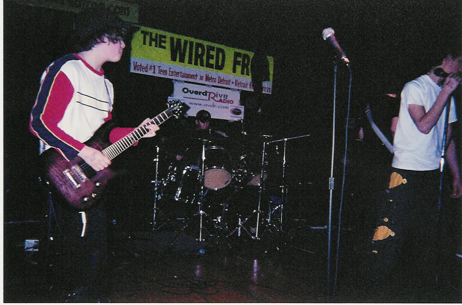 subterrain_wiredfrog1.jpg